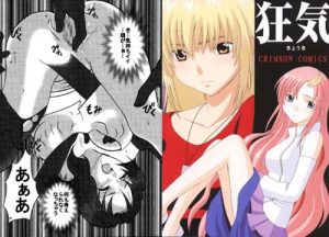 狂気(クリムゾン)【ガンダムSEED女性キャラ】【FANZA/DLsiteエロ同人】