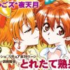 とれたて熟果!(にゃごズ)【キュアパイン/山吹祈里/プリキュア】【DLsiteエロ同人】