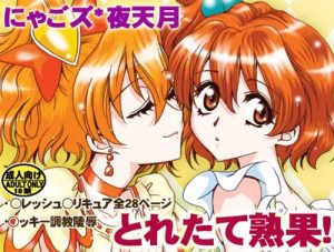 とれたて熟果!(にゃごズ)【キュアパイン/山吹祈里/プリキュア】【DLsiteエロ同人】