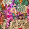 ぼーけんのしょ(プルメリア)【ミネア、マーニャ、女勇者/ドラクエ4】【FANZA/DLsiteエロ同人】