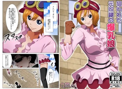 狙われた元奴隷の爆乳娘(Q同人)【コアラ/ワンピース】【FANZA/DLsiteエロ同人】