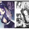 【胡蝶しのぶ/鬼滅の刃エロ】しのぶ拘束輪姦(ナギヤマスギ)【FANZA/DLsite同人】