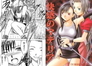 快感のマテリア(クリムゾン)【ティファ、エアリス/ファイナルファンタジー7エロ】【FANZA/DLsite同人】