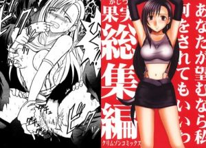 果実総集編(クリムゾン)【ティファ/ファイナルファンタジー7エロ】【FANZA/DLsite同人】