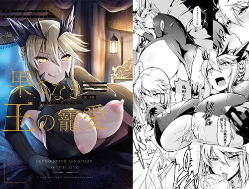 果てなき王の寵愛【アルトリアオルタ/Fate(FGO)エロ】【DLsite同人】