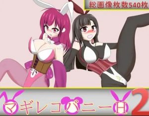 マギレコバニーH2【マギレコ女性キャラエロ】【FANZA/DLsite同人】