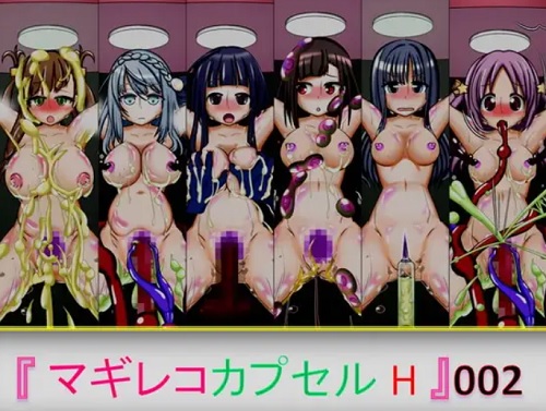 マギレコカプセルH002【マギレコエロ】【FANZA/DLsite同人】