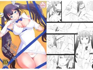 神さまに恋愛感情を抱くのは間違っているだろうか【ダンまちエロ】【FANZA/DLsite同人】