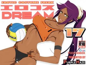 エロコスDREAM 17【四楓院夜一/ブリーチエロ】【FANZA/DLsite同人】