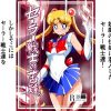 セーラー戦士の苦難【セーラームーン女性キャラエロ】【FANZA/DLsite同人】