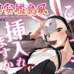 慰安艦島風【アズールレーンエロ】【DLsite同人】