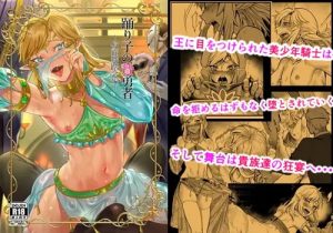 踊り子の贄勇者ー仮面舞踏会編ー【ゲルドリンク/ゼルダの伝説男の娘エロ】【FANZA/DLsite同人】