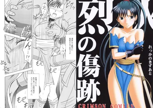 烈火の傷跡【リンディス/ファイアーエムブレムエロ漫画】【FANZA/DLsite同人】