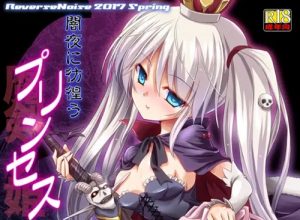 闇夜に彷徨うプリンセス【シビラ/千年戦争アイギスエロ漫画】【FANZA/DLsite同人】