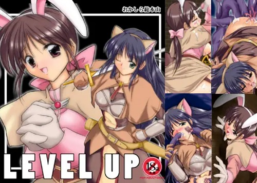 LEVEL UP【アコライト、ソードマン/ラグナロクオンラインエロ】【FANZA/DLsite同人】